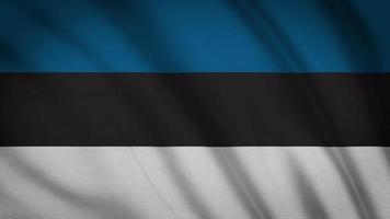 bandiera dell'Estonia video