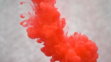 Red ink in water. Creative slow motion. On a white background