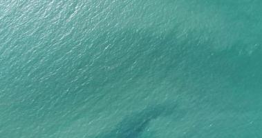 vista aerea de la superficie del mar video