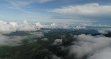 vista aérea vista panorâmica montanha com árvores exuberantes e nuvens nebulosas video