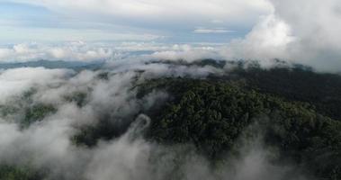 Aerial view wide shot point of view mountain with lush trees and foggy clouds video