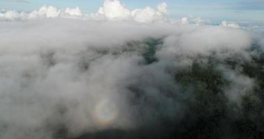 Aerial view wide shot point of view mountain with lush trees and foggy clouds