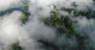 Vue aérienne large prise de vue de la montagne avec des arbres luxuriants et des nuages brumeux video