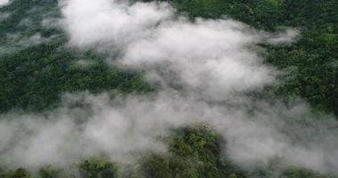 Vista aérea de vista panorámica de la montaña con frondosos árboles y nubes de niebla
