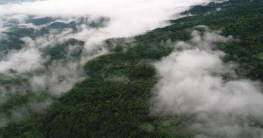 Aerial view wide shot point of view mountain with lush trees and foggy clouds video