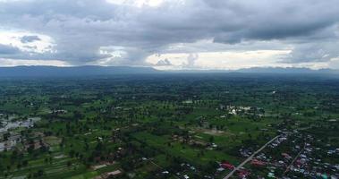 luchtfoto agrarische groene rijst boerderij gebied van thailand. video