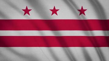 bandera del estado de washington video