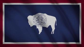 Wyoming State flagga video