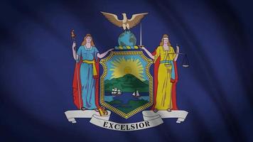 New York State Flag video