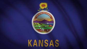 drapeau de l'état du Kansas video