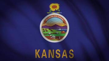 kansas statsflagga video