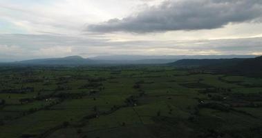 vista aérea do campo da tailândia. video