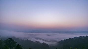 brouillard sur la forêt dans la vallée video