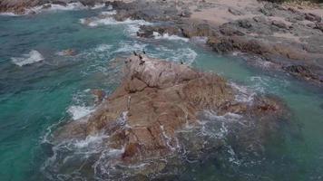 cormorões em rocha no mar em 4k video