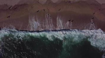 drone ascendiendo desde la playa con olas en 4k video