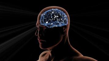 Brain Stock Video Footage for Free Download Brain Stock Video Footage for Free Download