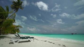 belle plage tropicale sur l'île des maldives video