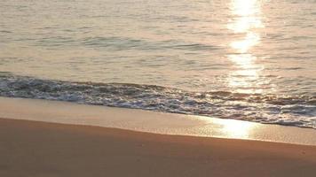 tropischer Strand bei Sonnenuntergang video