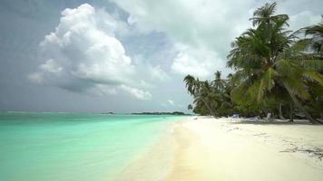 Maldiverna ön strand