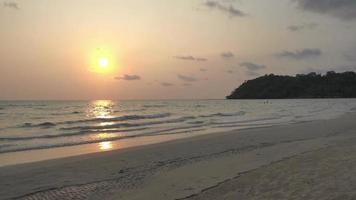 tropisch strand bij zonsopgang video