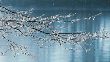 fundo de animação de cenário de inverno video