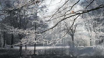fondo de animación de paisaje de invierno