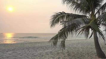 playa tropical al atardecer video