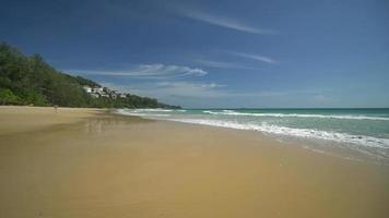 Tropical Beach Ocean video