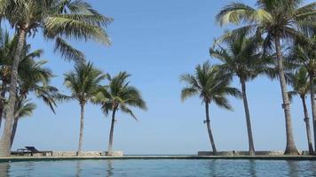 piscina exterior com palmeiras video