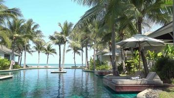 buitenzwembad met uitzicht op zee en palmboom video