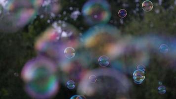 burbujas en el parque