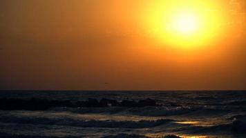 Sonnenuntergang über dem Meer und Möwen fliegen über den Himmel video