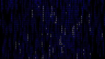 Streaming digitaler Datenmatrix video