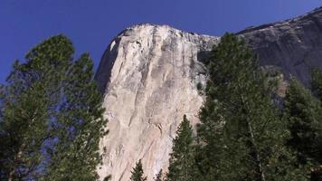 Pine Trees Frame El Capitan Rock Face in Yosemite Valley video