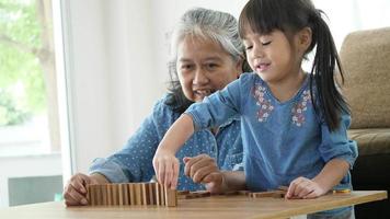 Grandmother And Granddaughter Play With Jenga Blocks video