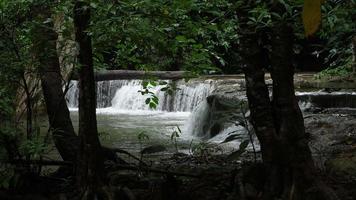 vattenfall med stensteg i Thailand video