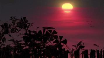 zonsondergang time-lapse landschap video