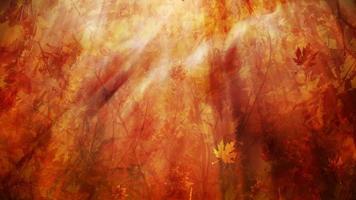 fondo abstracto de la temporada de otoño video