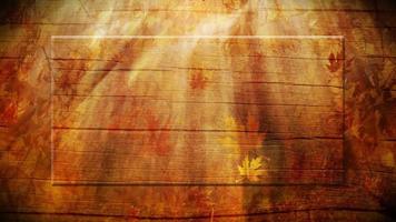 Abstract Autumn Season Background video