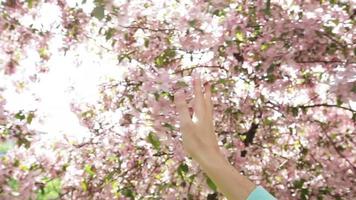 mano de mujer y flores video