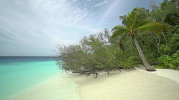 Maldiven eiland strand video