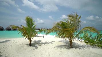 praia da ilha das maldivas video