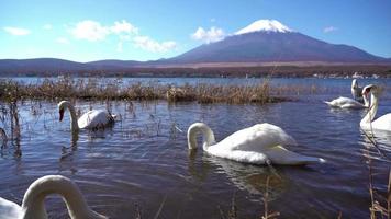 berg fuji in japan video