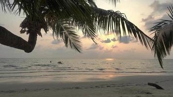 Sonnenuntergang an einem tropischen Strand video