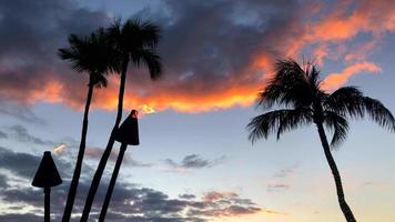 Blick auf Tiki-Fackeln in Hawaii 4k video