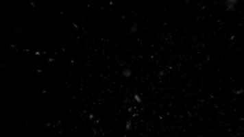 Falling Snow Isolated On A Black Background video