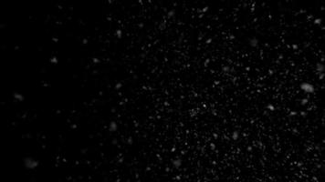 fallande snö isolerad på en svart bakgrund video