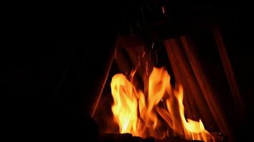 gros plan du bois de chauffage brûlant dans la cheminée. video