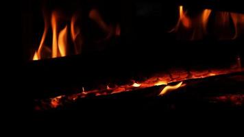 gros plan du bois de chauffage brûlant dans la cheminée. video