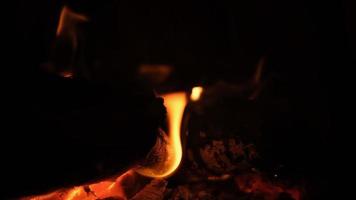 Closeup of firewood burning in fireplace. video